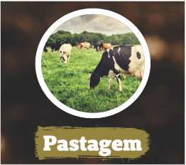 Pastagem